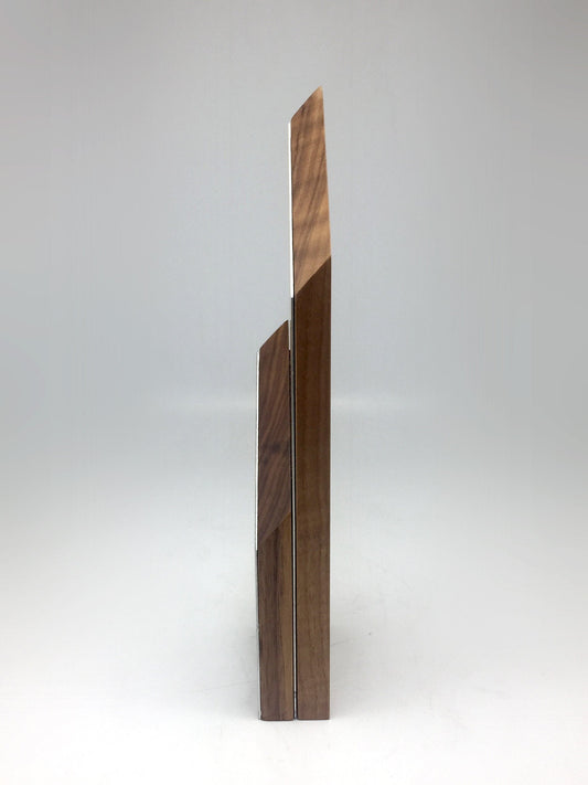 Layered wood and Aluminium Award