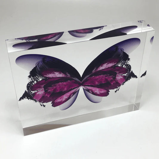 Clear Acrylic Rear Print Award