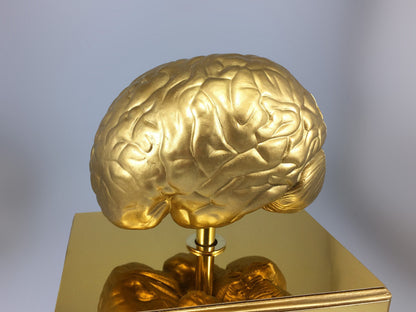 For Fact's Sake Brain Award