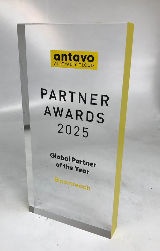 Acrylic Block with Colour Trim