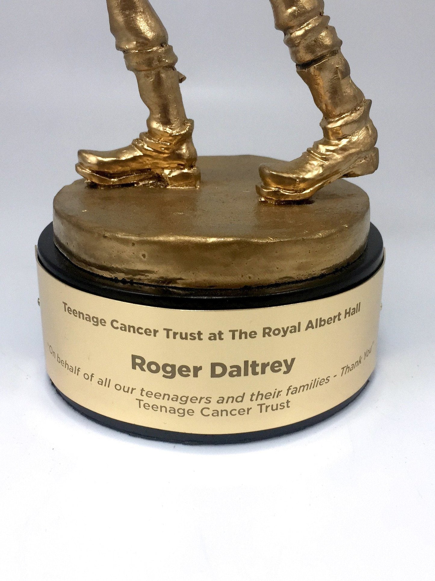 Teenage Cancer Trust Award, by Jamie Hewlett