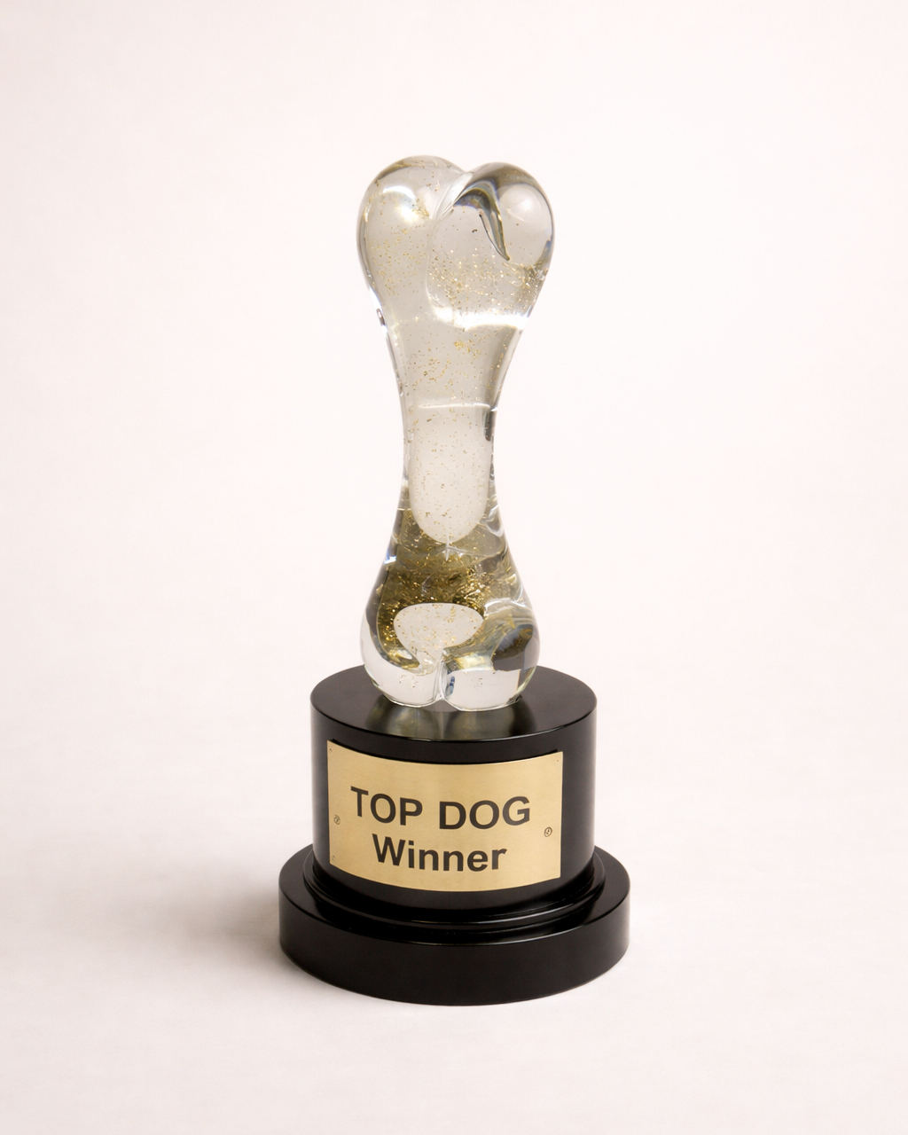 Trophy labeled 'Top Dog Winner' on a white background