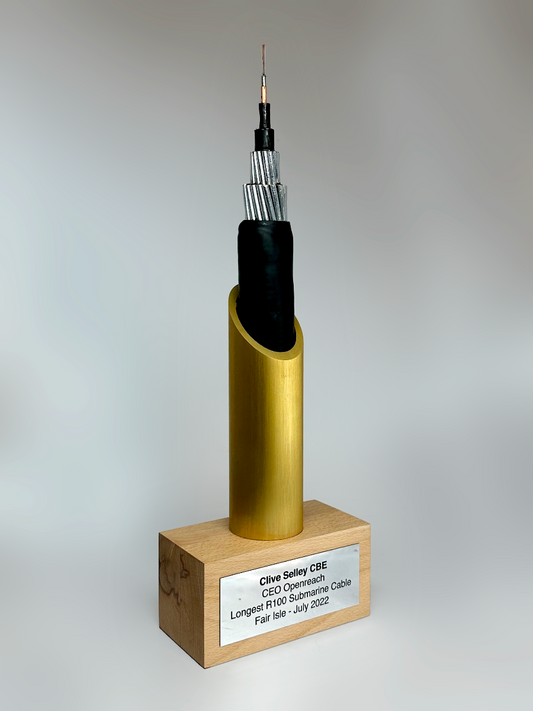 Model of an openreach cable award on a wooden base with a gray background