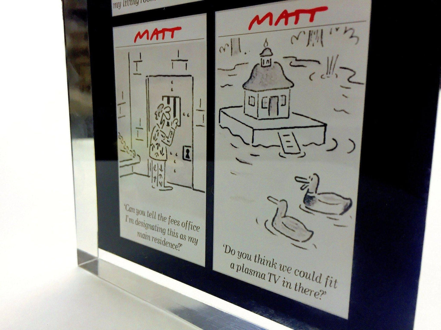 The Telegraph Cartoonist Award